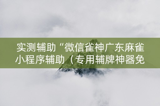 实测辅助“微信雀神广东麻雀小程序辅助（专用辅牌神器免安装）