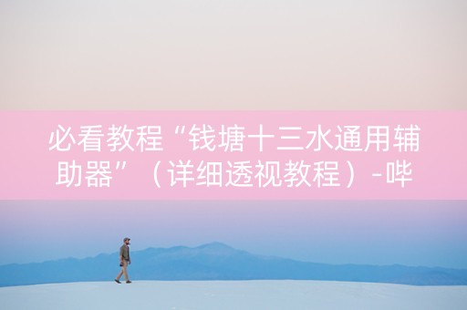 必看教程“钱塘十三水通用辅助器”（详细透视教程）-哔哩哔哩