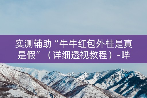 实测辅助“牛牛红包外桂是真是假”（详细透视教程）-哔哩哔哩