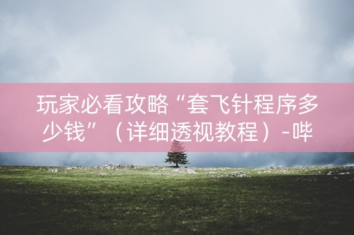 玩家必看攻略“套飞针程序多少钱”（详细透视教程）-哔哩哔哩