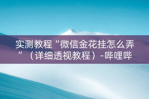 实测教程“微信金花挂怎么弄”（详细透视教程）-哔哩哔哩