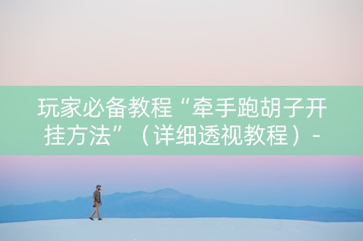 玩家必备教程“牵手跑胡子开挂方法”（详细透视教程）-哔哩哔哩