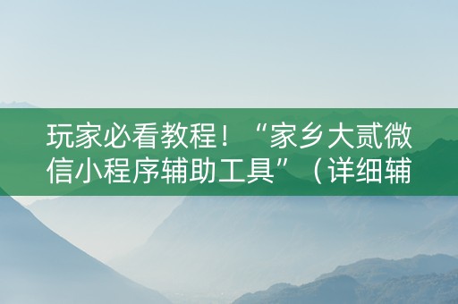 玩家必看教程！“家乡大贰微信小程序辅助工具”（详细辅助教程）-哔哩哔哩
