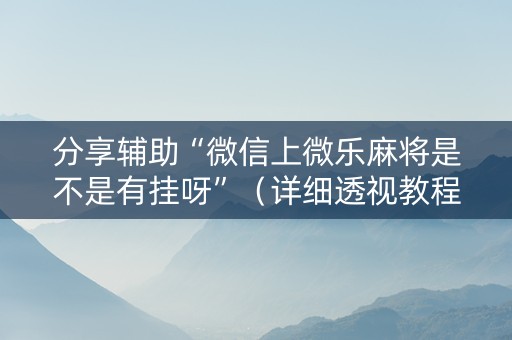 分享辅助“微信上微乐麻将是不是有挂呀”（详细透视教程）-哔哩哔哩