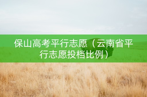 保山高考平行志愿（云南省平行志愿投档比例）