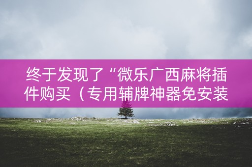终于发现了“微乐广西麻将插件购买（专用辅牌神器免安装）