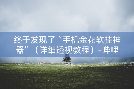 终于发现了“手机金花软挂神器”（详细透视教程）-哔哩哔哩