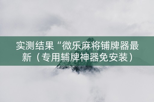 实测结果“微乐麻将铺牌器最新（专用辅牌神器免安装）