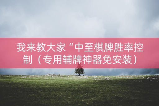 我来教大家“中至棋牌胜率控制（专用辅牌神器免安装）