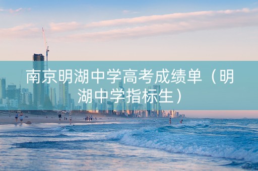 南京明湖中学高考成绩单（明湖中学指标生）