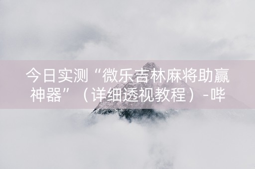 今日实测“微乐吉林麻将助赢神器”（详细透视教程）-哔哩哔哩