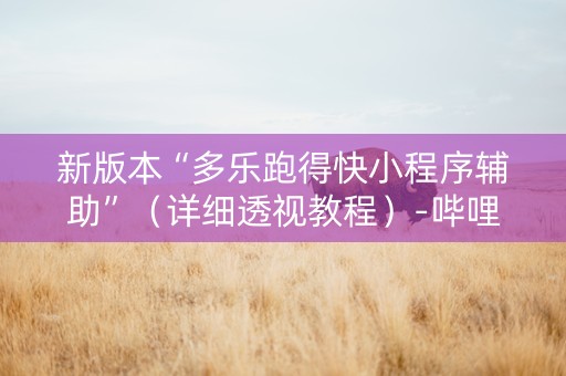 新版本“多乐跑得快小程序辅助”（详细透视教程）-哔哩哔哩