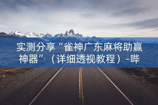 实测分享“雀神广东麻将助赢神器”（详细透视教程）-哔哩哔哩