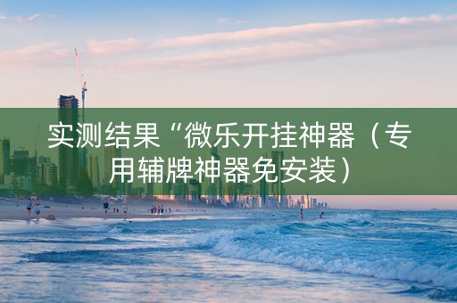 实测结果“微乐开挂神器（专用辅牌神器免安装）