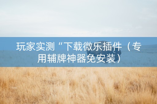 玩家实测“下载微乐插件（专用辅牌神器免安装）