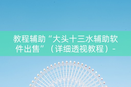 教程辅助“大头十三水辅助软件出售”（详细透视教程）-哔哩哔哩