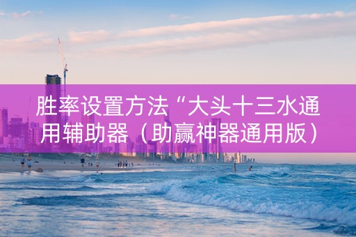 胜率设置方法“大头十三水通用辅助器（助赢神器通用版）