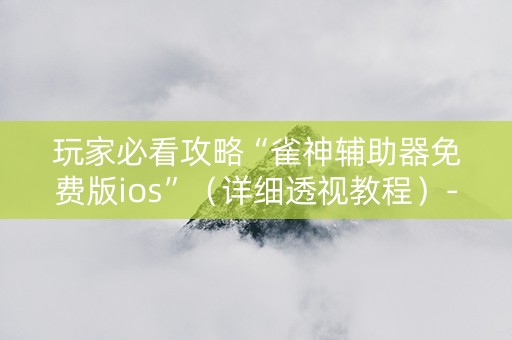 玩家必看攻略“雀神辅助器免费版ios”（详细透视教程）-哔哩哔哩