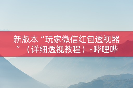 新版本“玩家微信红包透视器”（详细透视教程）-哔哩哔哩