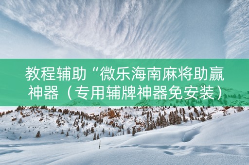 教程辅助“微乐海南麻将助赢神器（专用辅牌神器免安装）