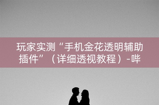 玩家实测“手机金花透明辅助插件”（详细透视教程）-哔哩哔哩
