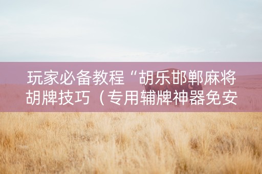 玩家必备教程“胡乐邯郸麻将胡牌技巧（专用辅牌神器免安装）