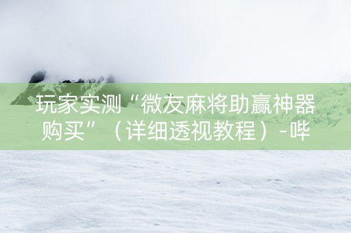 玩家实测“微友麻将助赢神器购买”（详细透视教程）-哔哩哔哩