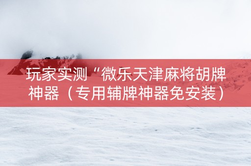 玩家实测“微乐天津麻将胡牌神器（专用辅牌神器免安装）