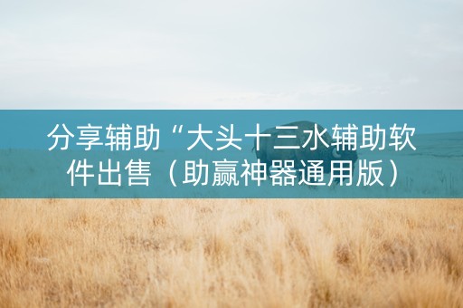 分享辅助“大头十三水辅助软件出售（助赢神器通用版）