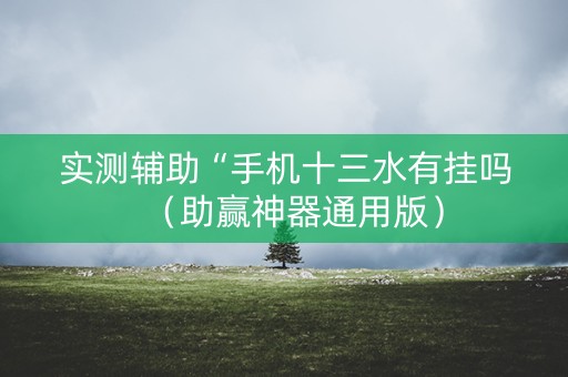 实测辅助“手机十三水有挂吗（助赢神器通用版）