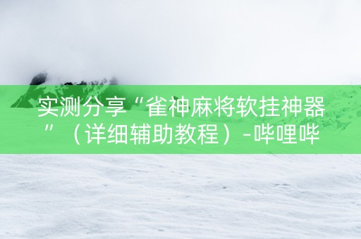 实测分享“雀神麻将软挂神器”（详细辅助教程）-哔哩哔哩