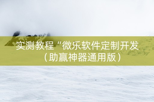 实测教程“微乐软件定制开发（助赢神器通用版）