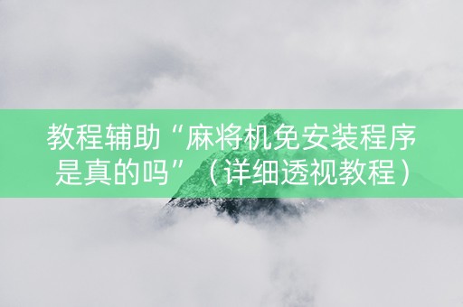 教程辅助“麻将机免安装程序是真的吗”（详细透视教程）-哔哩哔哩