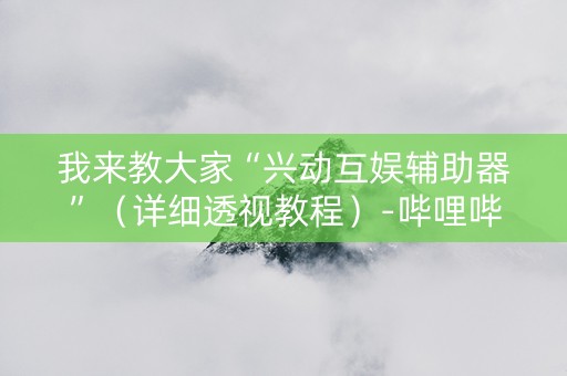 我来教大家“兴动互娱辅助器”（详细透视教程）-哔哩哔哩