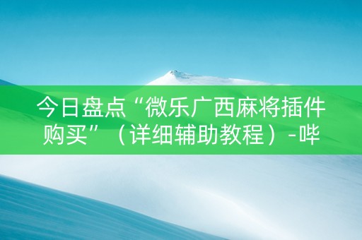 今日盘点“微乐广西麻将插件购买”（详细辅助教程）-哔哩哔哩