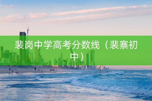 裴岗中学高考分数线（裴寨初中）