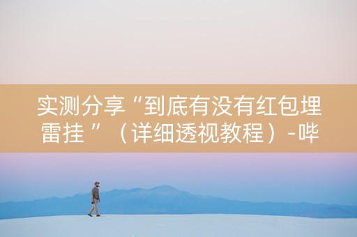 实测分享“到底有没有红包埋雷挂 ”（详细透视教程）-哔哩哔哩