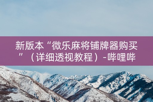 新版本“微乐麻将铺牌器购买”（详细透视教程）-哔哩哔哩