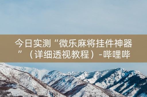 今日实测“微乐麻将挂件神器”（详细透视教程）-哔哩哔哩
