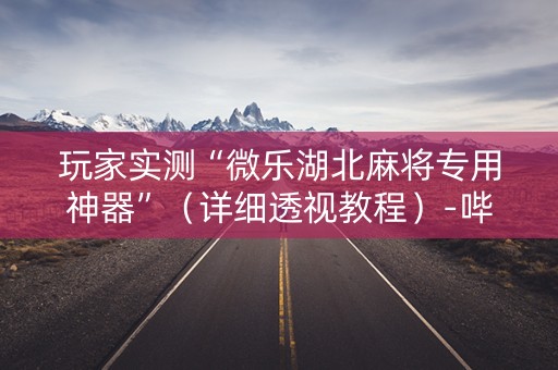 玩家实测“微乐湖北麻将专用神器”（详细透视教程）-哔哩哔哩