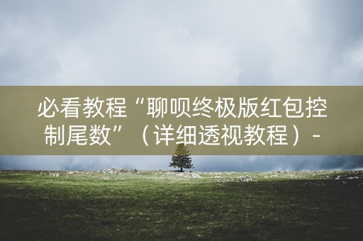 必看教程“聊呗终极版红包控制尾数”（详细透视教程）-哔哩哔哩