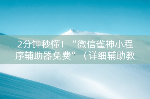 2分钟秒懂！“微信雀神小程序辅助器免费”（详细辅助教程）-哔哩哔哩