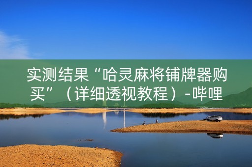 实测结果“哈灵麻将铺牌器购买”（详细透视教程）-哔哩哔哩