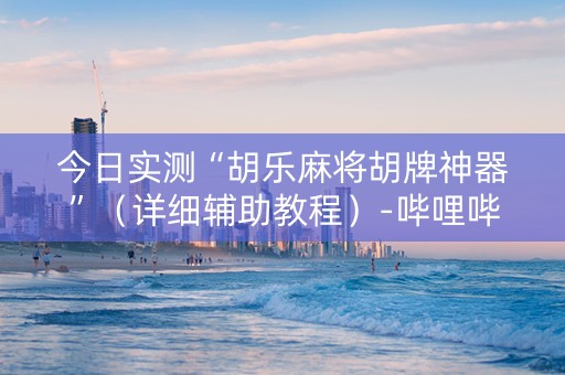 今日实测“胡乐麻将胡牌神器”（详细辅助教程）-哔哩哔哩