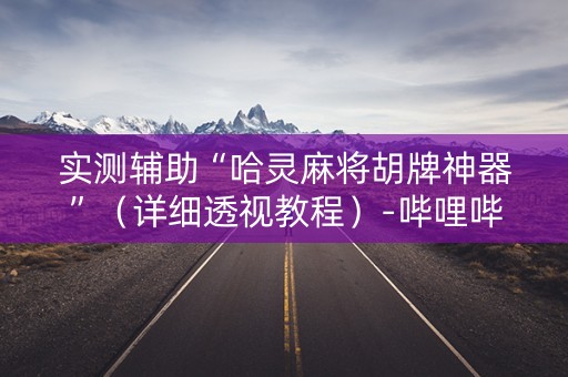 实测辅助“哈灵麻将胡牌神器”（详细透视教程）-哔哩哔哩