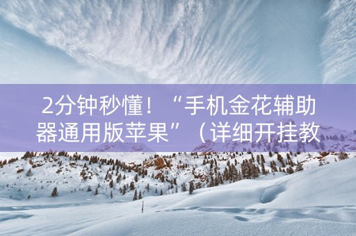 2分钟秒懂！“手机金花辅助器通用版苹果”（详细开挂教程）-哔哩哔哩