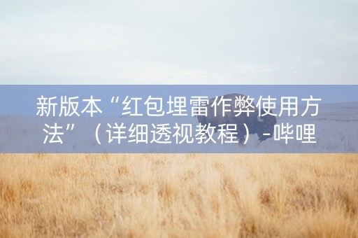 新版本“红包埋雷作弊使用方法”（详细透视教程）-哔哩哔哩