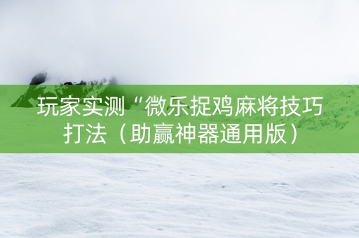 玩家实测“微乐捉鸡麻将技巧打法（助赢神器通用版）