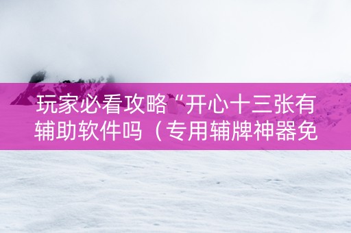 玩家必看攻略“开心十三张有辅助软件吗（专用辅牌神器免安装）
