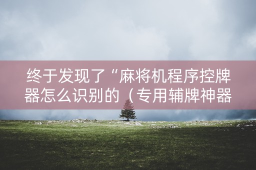 终于发现了“麻将机程序控牌器怎么识别的（专用辅牌神器免安装）